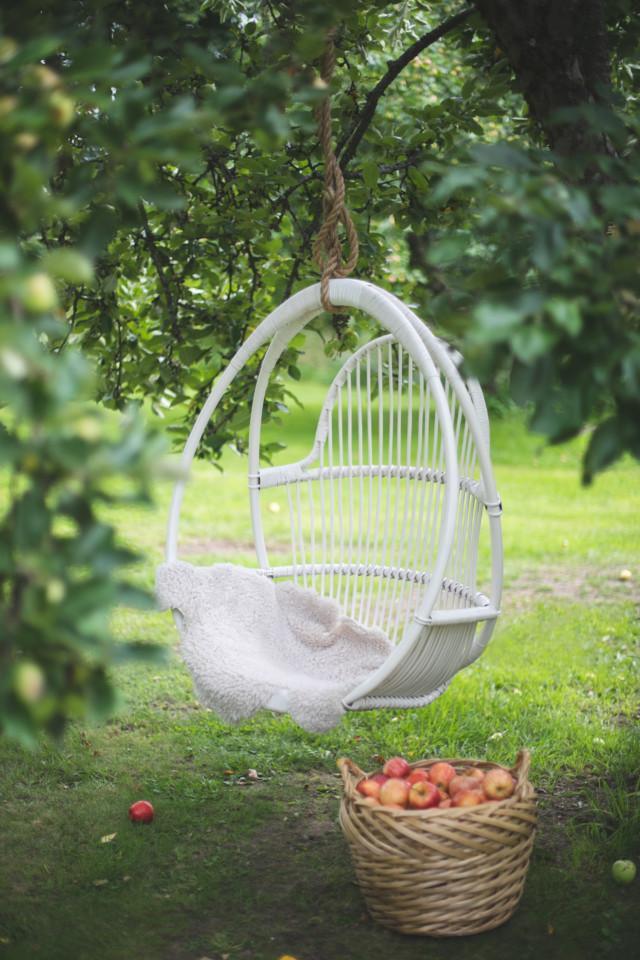 Valkoinen Aulis riippukeinu puutarhassa syksyisen omenakorin kanssa