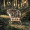 Luonnonvärinen Lumikenkä rottinkituoli keskellä metsää