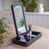 Mirrorbox