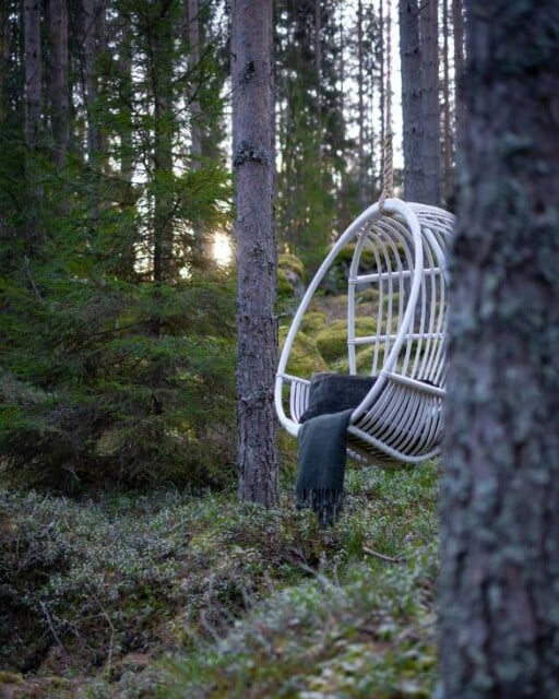 Valkoinen Sirkka riippukeinu talvisessa metsässä