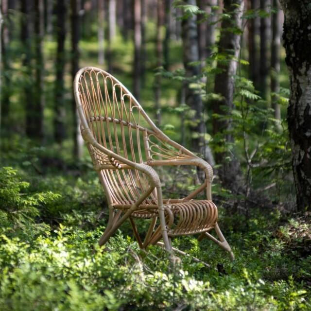 Luonnonvärinen Korkea lumikenkä tuoli metsässä.