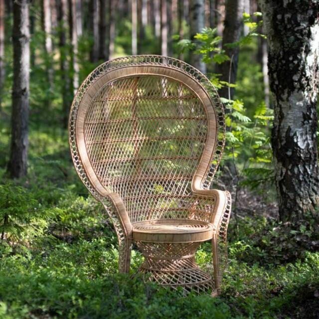 Koristeellinen Peacock tuoli metsässä