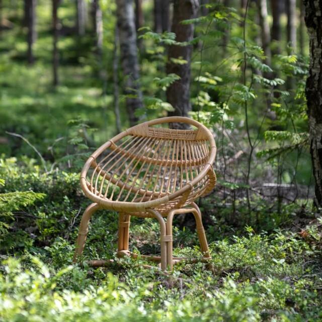 Simpukka tuoli keskellä metsää