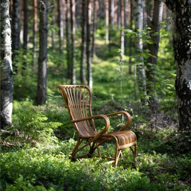 Antiikinruskea Vintage tuoli metsässä